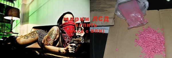 СК Алексин