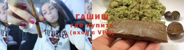 СК Алексин