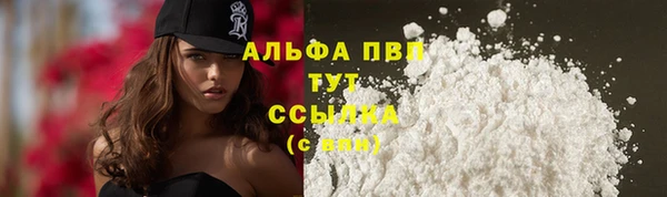 СК Алексин