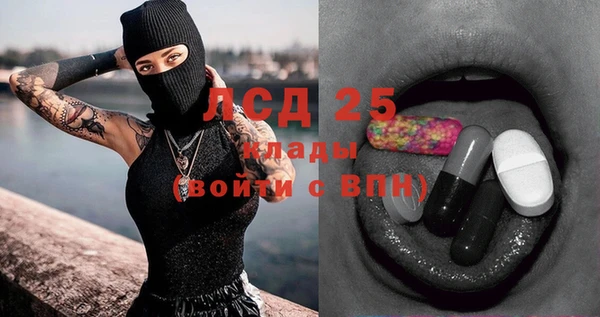 СК Алексин